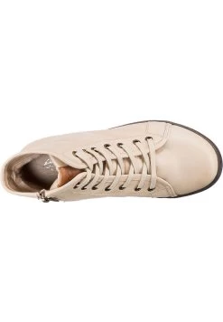 Andrea Conti Schnürstiefelette - Creme -Andrea Conti d9648b6cc400432ca2a4d13314fae29f